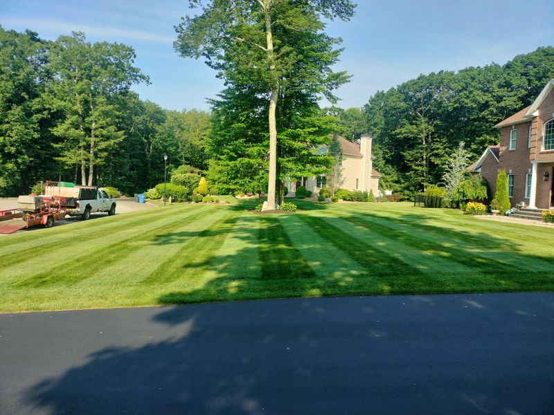 Mowing