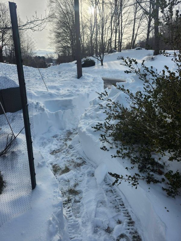 Snow Removal