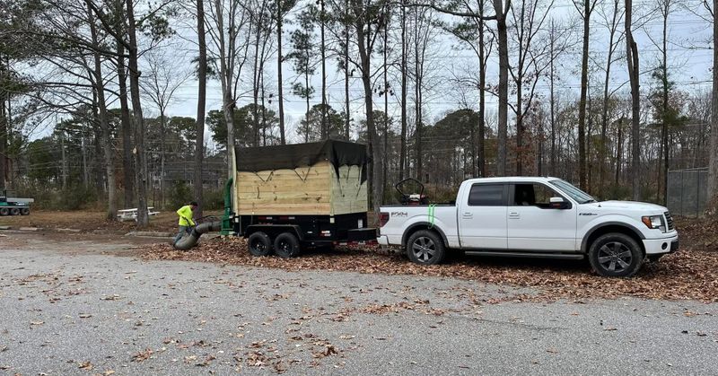 Debris Removal and Cleanup
