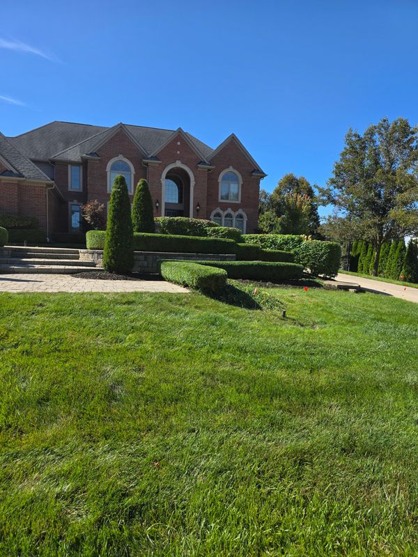 Flower bed Maintenance