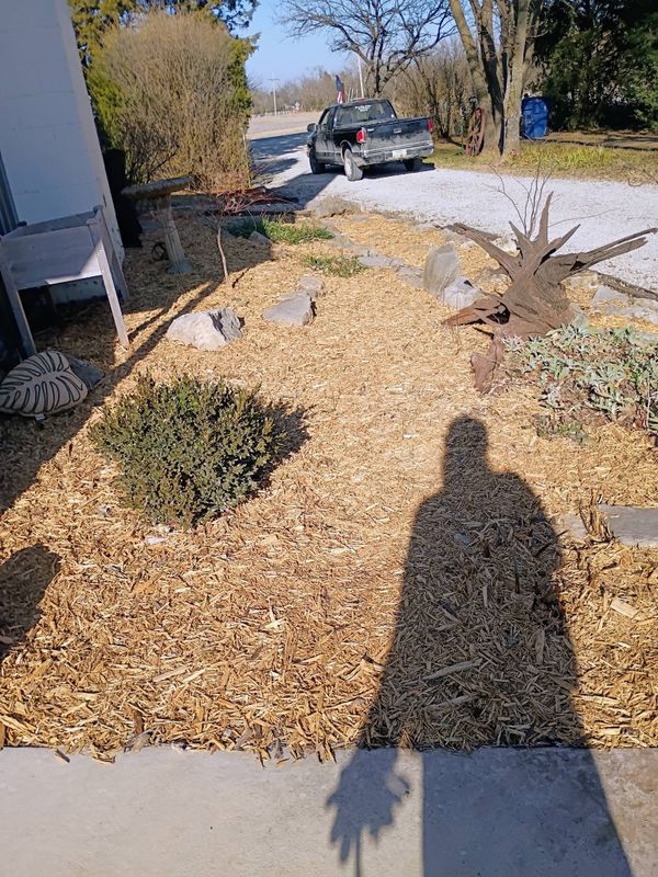 Landscape Design