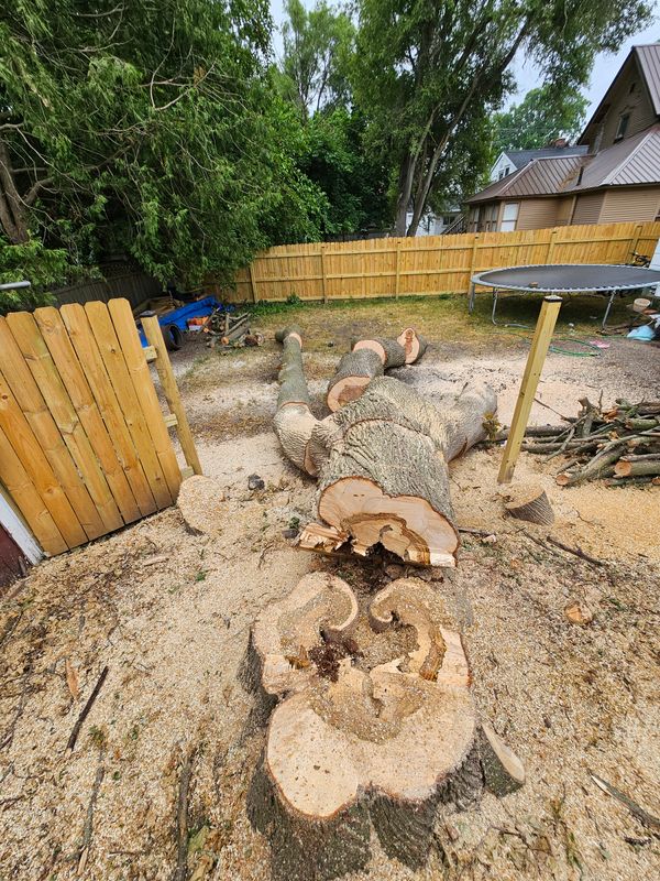 Tree Removal
