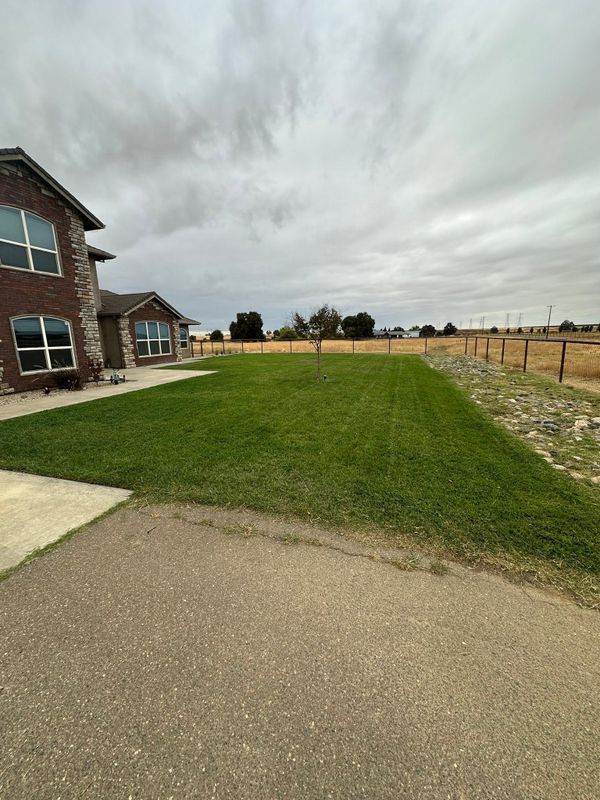 Lawn Maintenance