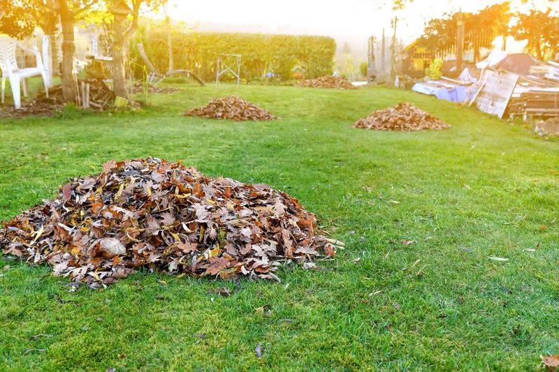 Fall Clean Up