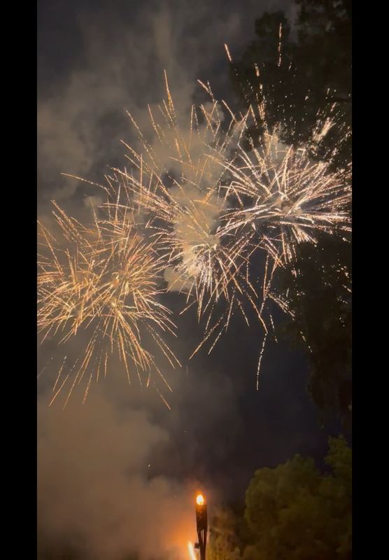 Backyard Firework Displays