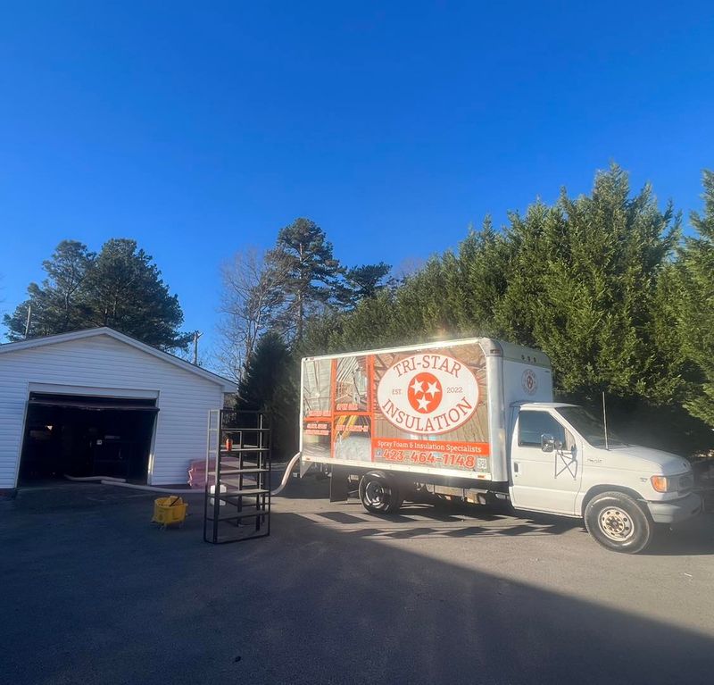 Eco-Friendly Insulation Options