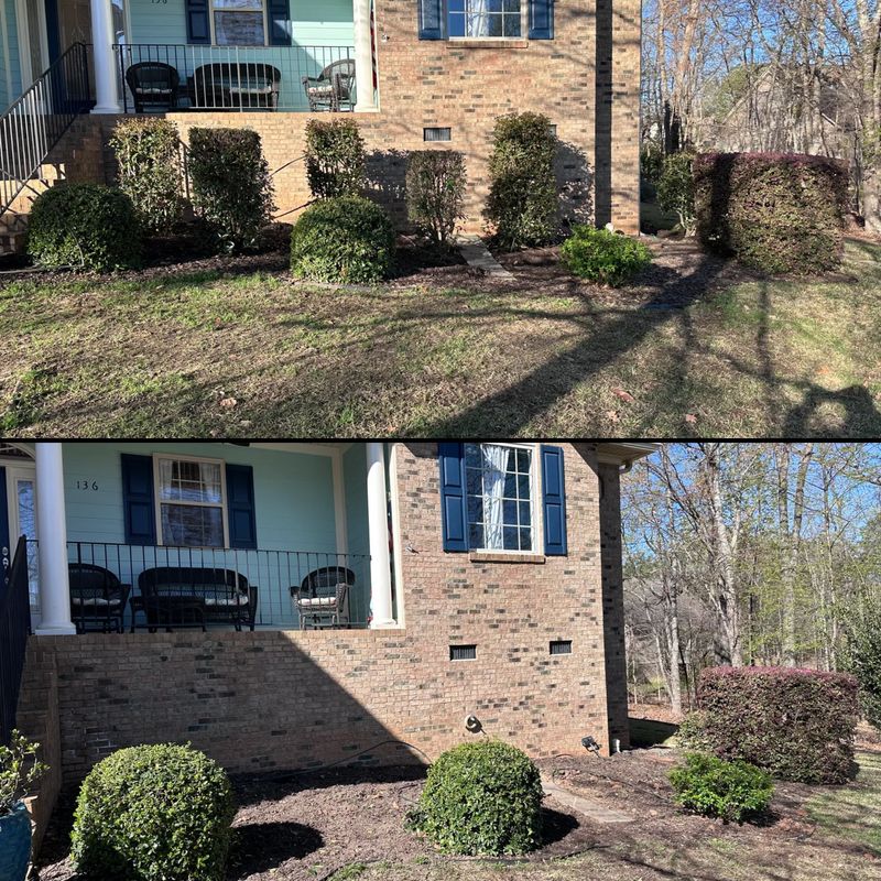 Shrub Trimming