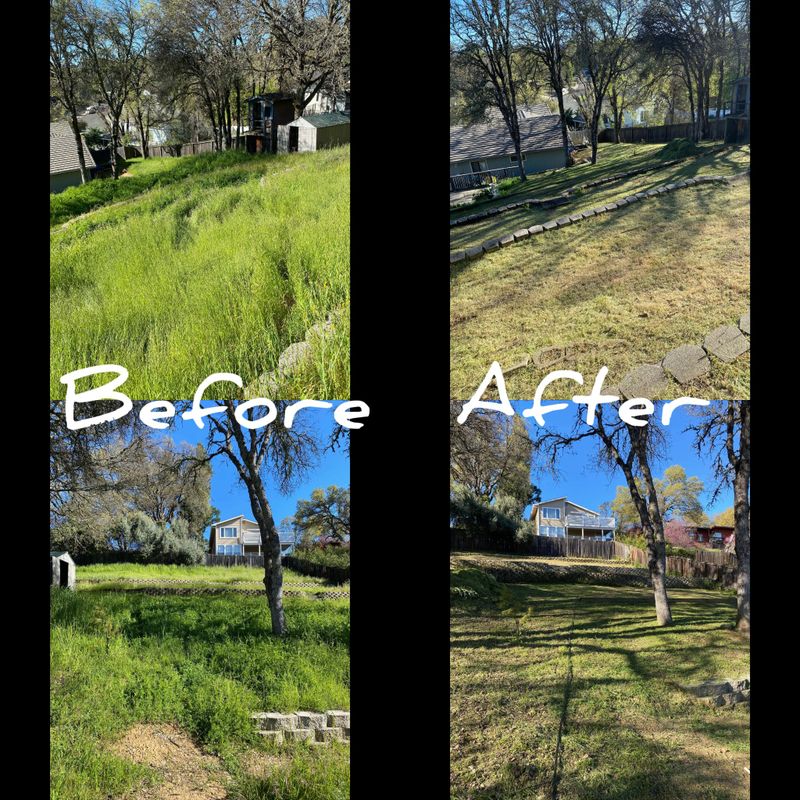 Garden Designs