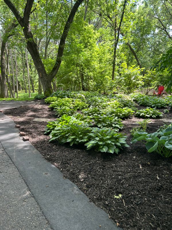 Flower Bed Gallery