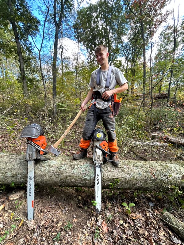 Tree Removal