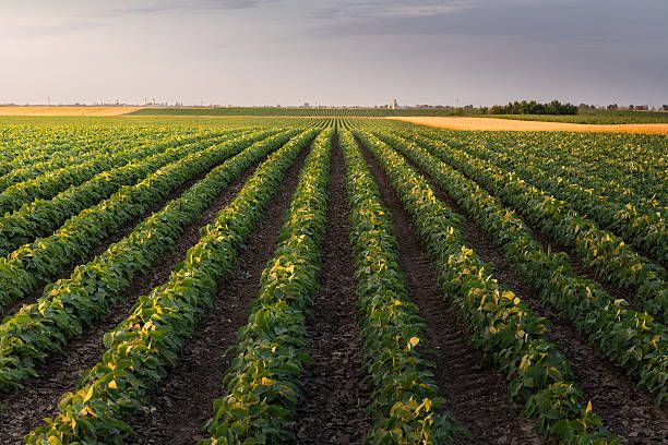Ag Weed Control