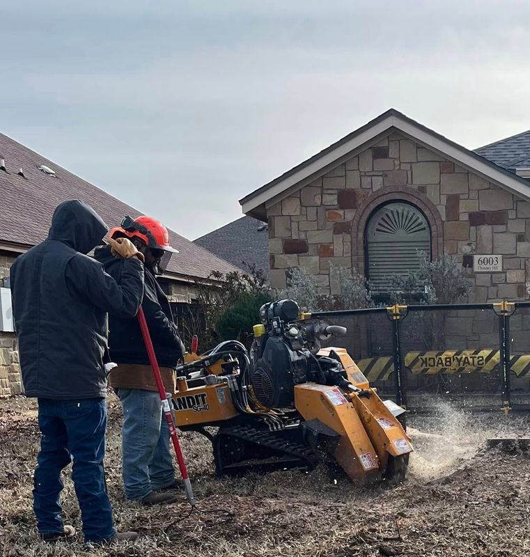 Stump Grinding