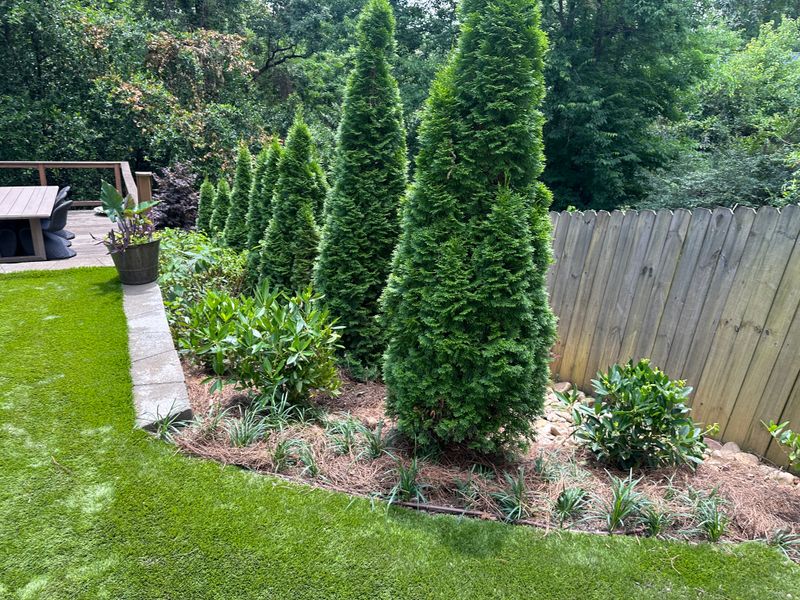 Landscape Design