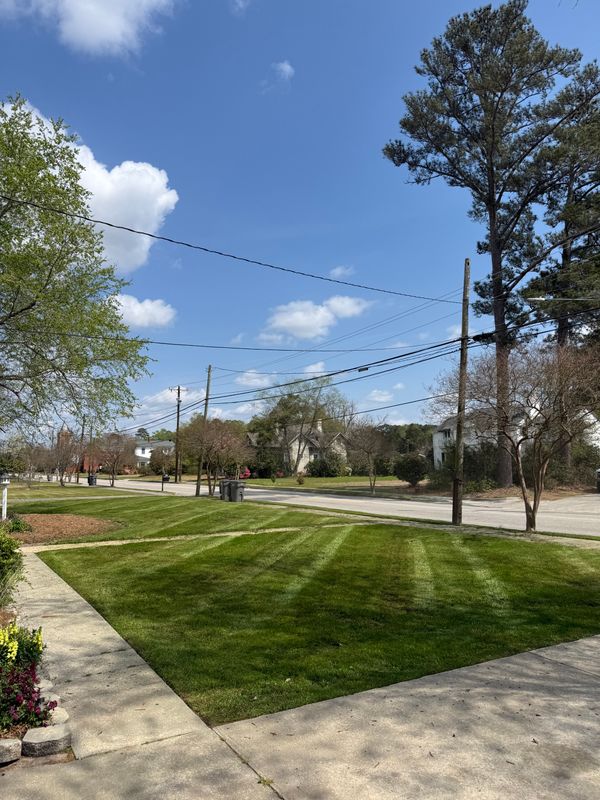 Lawn Maintenance