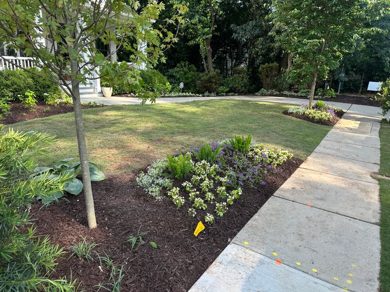 Lawn Care & Maintenance