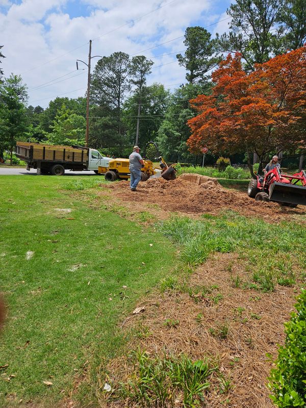 Stump Grinding