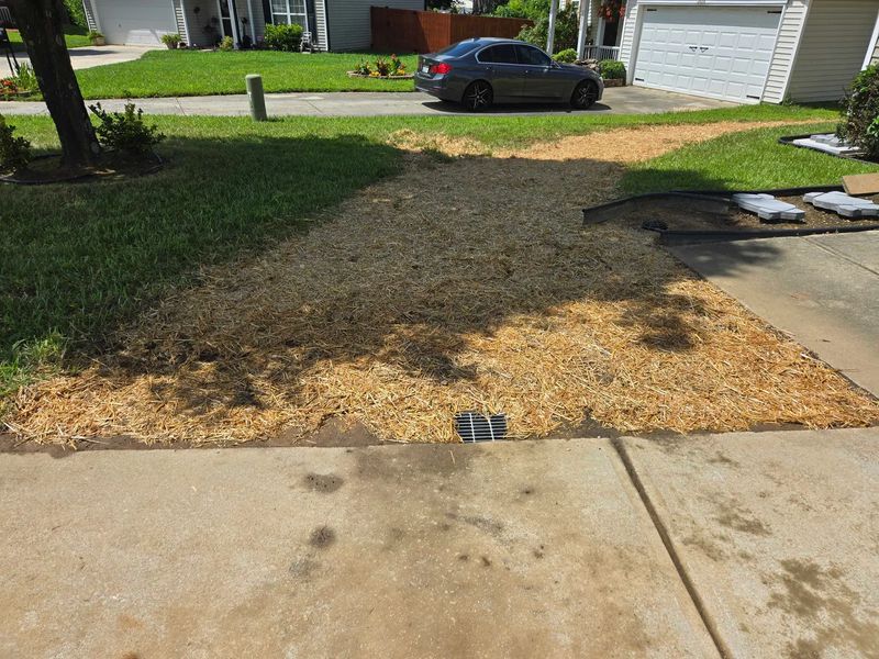Lawn Drains