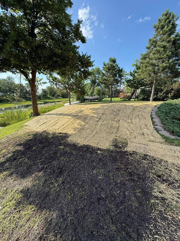 Land Clearing und Grading