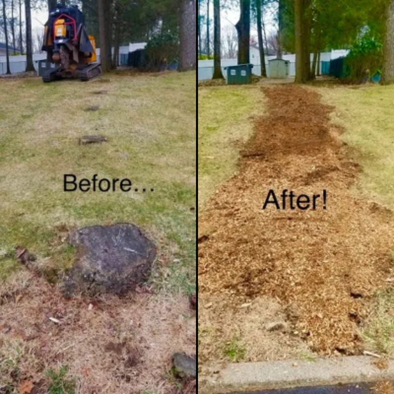 Stump Removal