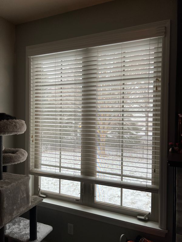 Crystal Clear Views: Professional Screen and Window Cleaning by Soapy Suds Services