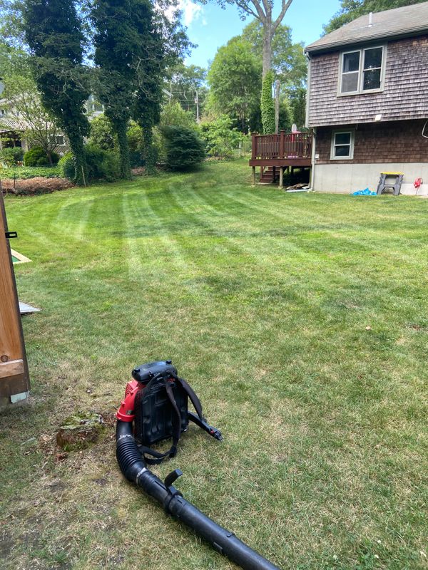 Mowing gallery