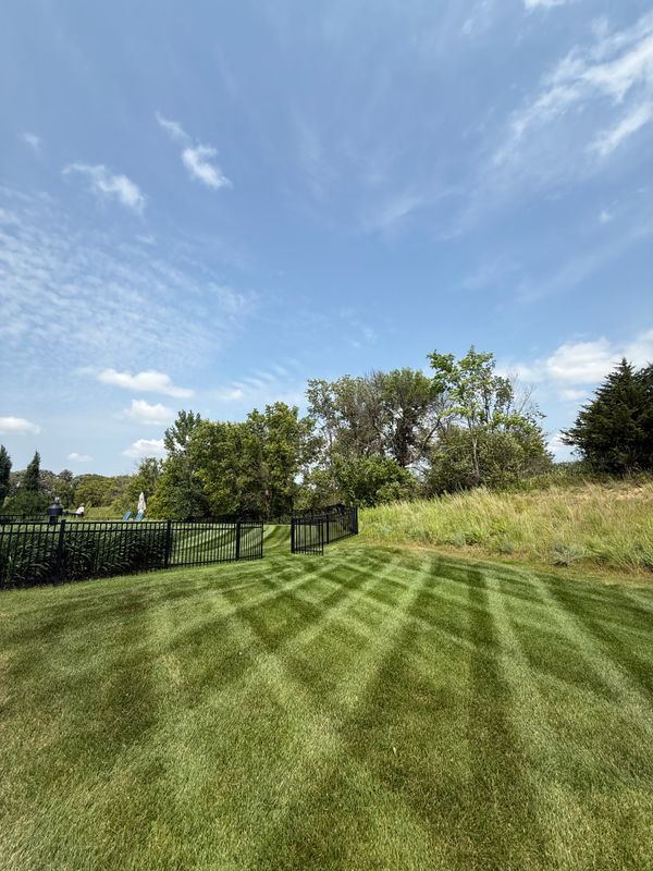 Lawn Maintenance