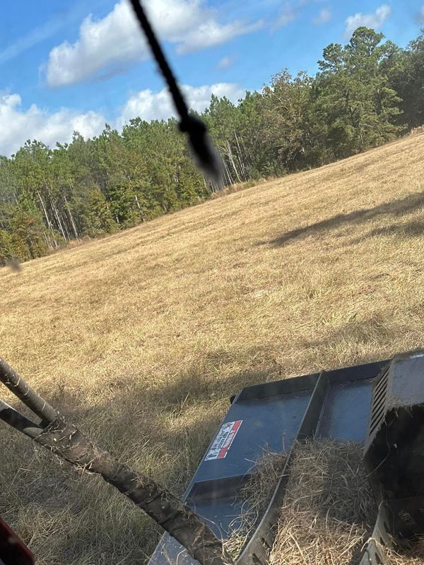 Land Clearing