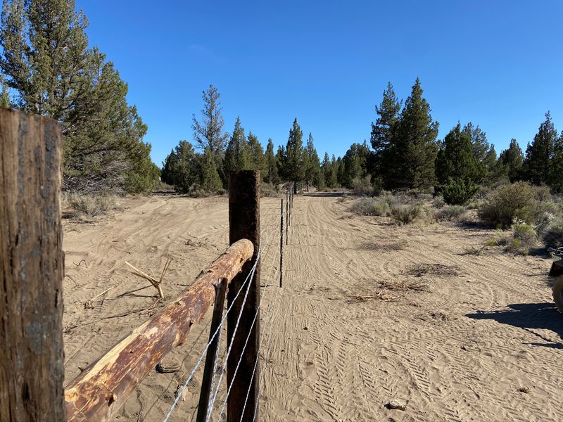 Barbed Wire Fencing