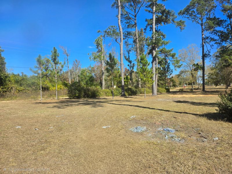 Land Clearing