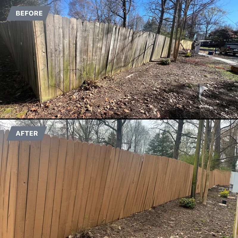 Deck and fence painting & staining