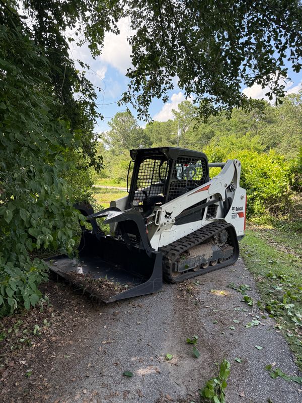 Tree & Shrub Care