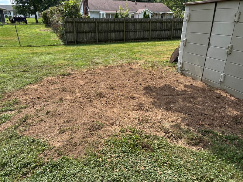 Stump Removal
