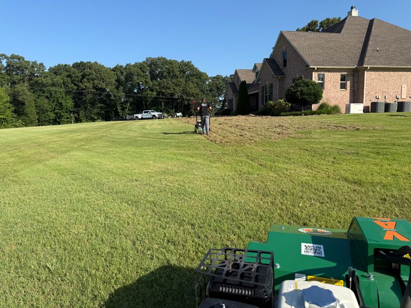 Lawn Maintenance