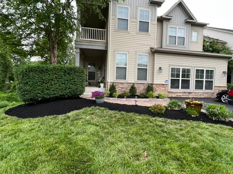 Shrub Trimming