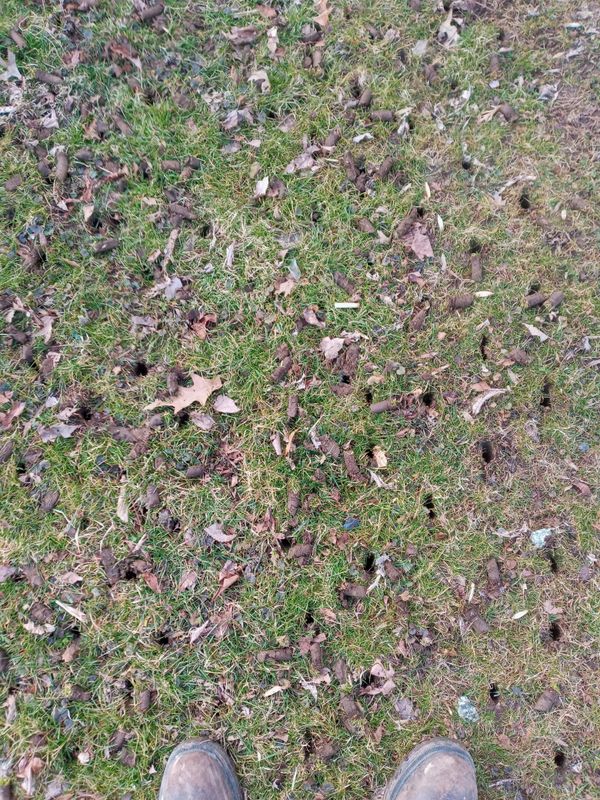 Grass Up