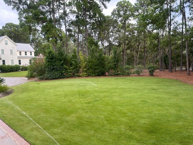 Lawn Care