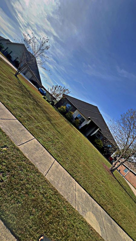 Landscape Maintenance