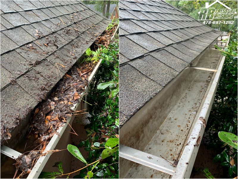 Gutter Cleaning