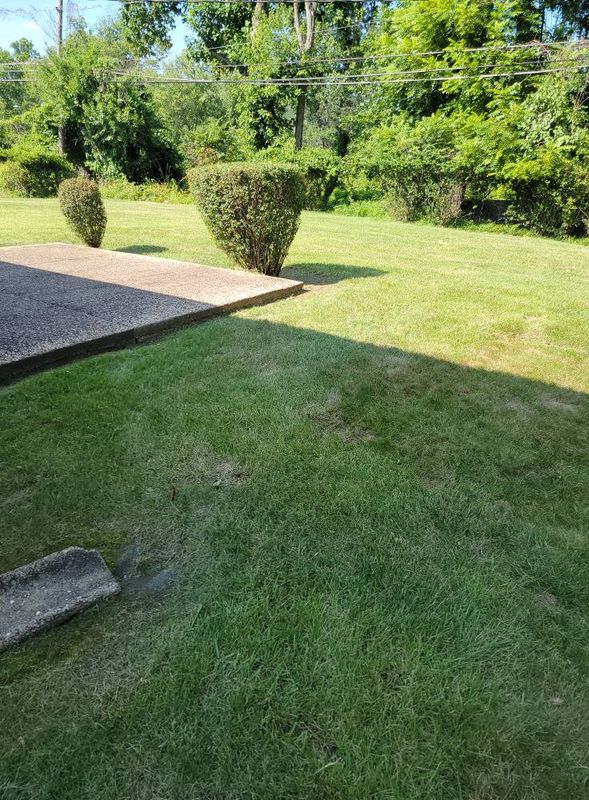 Beautiful Lawns