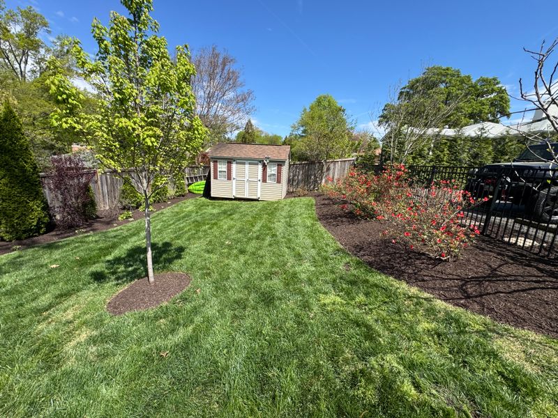 Lawn Care & Maintenance