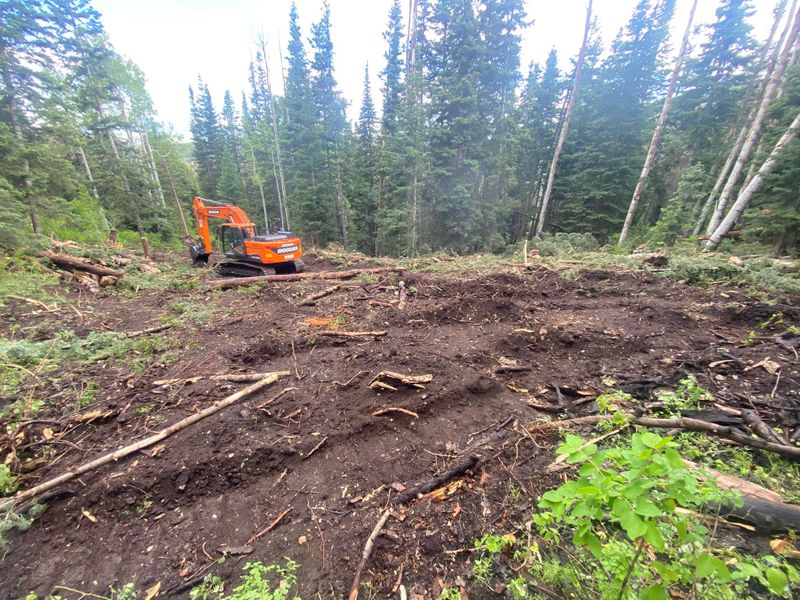 Forestry Mulching