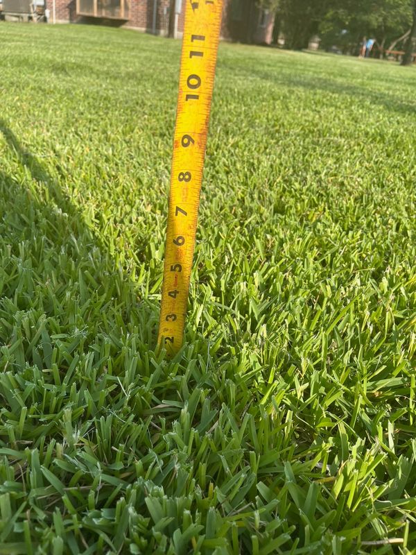 Lawn and Yard Maintenance
