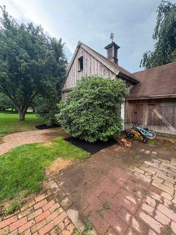 Tree & Shrub Care