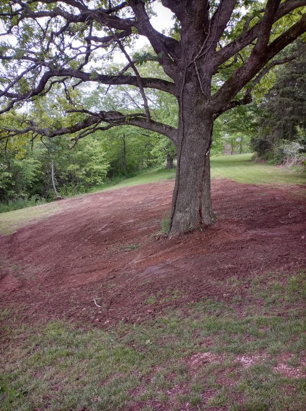 Site Preparation