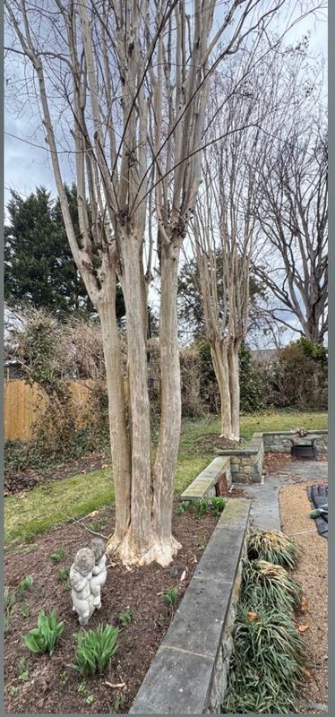Tree Work & Arborist Services