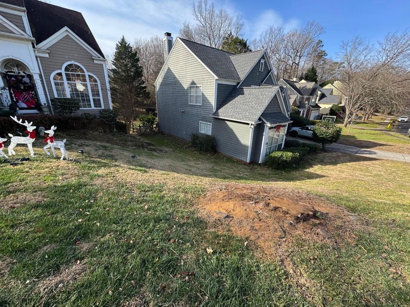 Stump Removal