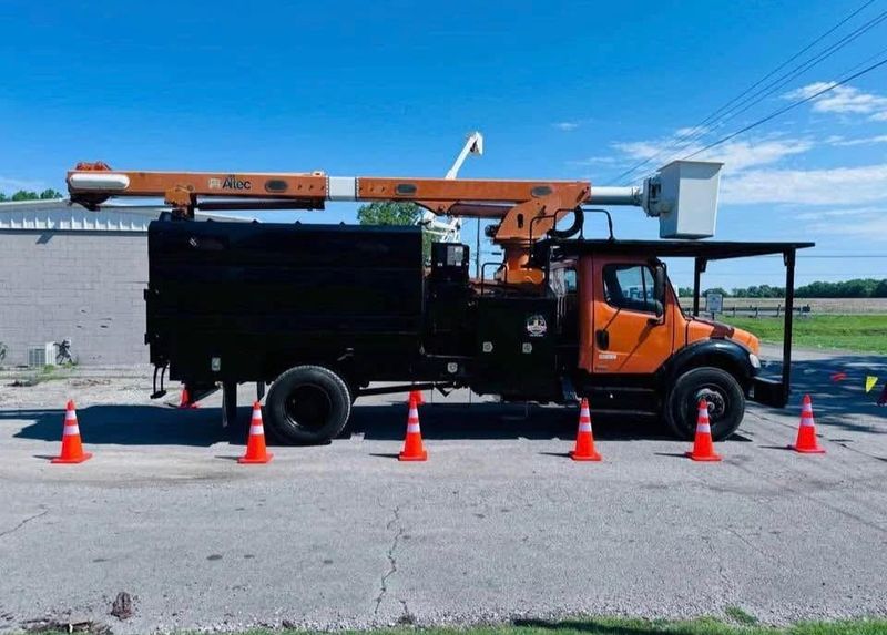 Tree Removal