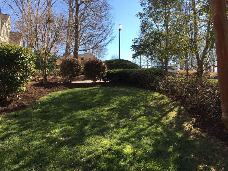 Lawn Care Services