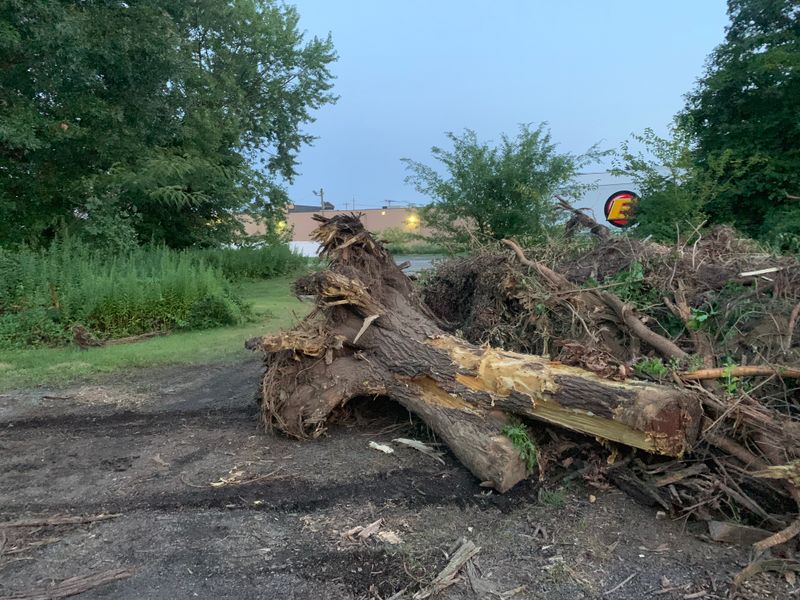 Land Clearing