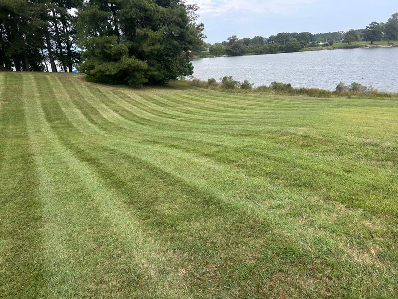 Mowing gallery